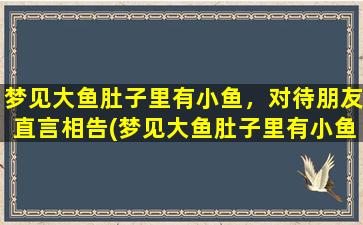 梦见大鱼肚子里有小鱼，对待朋友直言相告(梦见大鱼肚子里有小鱼，如何对待朋友直言相告，这才是真正的朋友！)