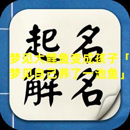 梦见大鲤鱼变成孩子「梦见自己养了一池鱼」