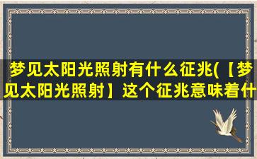 梦见太阳光照射有什么征兆(【梦见太阳光照射】这个征兆意味着什么？)