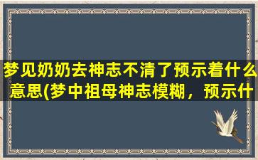 梦见奶奶去神志不清了预示着什么意思(梦中祖母神志模糊，预示什么？)