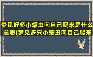 梦见好多小蠕虫向自己爬来是什么意思(梦见多只小蠕虫向自己爬来，梦境解析大揭秘！)