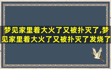 梦见家里着大火了又被扑灭了,梦见家里着大火了又被扑灭了发烧了怎么回事