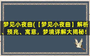 梦见小夜曲(【梦见小夜曲】解析、预兆、寓意，梦境详解大揭秘！)