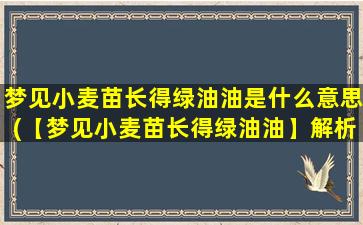 梦见小麦苗长得绿油油是什么意思(【梦见小麦苗长得绿油油】解析及预示)