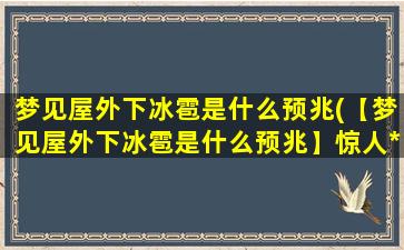 梦见屋外下冰雹是什么预兆(【梦见屋外下冰雹是什么预兆】惊人*，不容错过！)