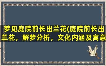 梦见庭院前长出兰花(庭院前长出兰花，解梦分析，文化内涵及寓意)