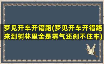 梦见开车开错路(梦见开车开错路来到树林里全是雾气还刹不住车)