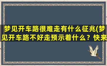 梦见开车路很难走有什么征兆(梦见开车路不好走预示着什么？快来了解！)