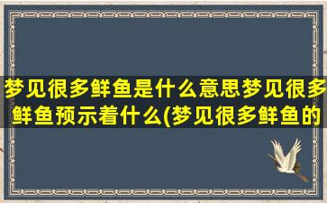 梦见很多鲜鱼是什么意思梦见很多鲜鱼预示着什么(梦见很多鲜鱼的寓意及预示是什么？)