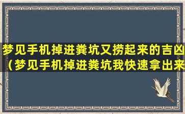 梦见手机掉进粪坑又捞起来的吉凶（梦见手机掉进粪坑我快速拿出来了）