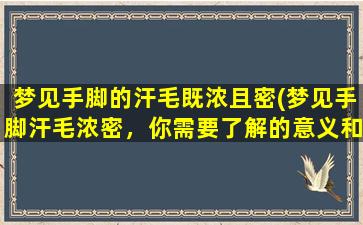 梦见手脚的汗毛既浓且密(梦见手脚汗毛浓密，你需要了解的意义和预示)