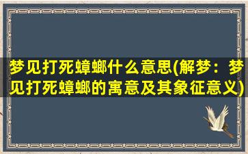 梦见打死蟑螂什么意思(解梦：梦见打死蟑螂的寓意及其象征意义)