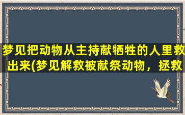 梦见把动物从主持献牺牲的人里救出来(梦见解救被献祭动物，拯救生命的意义)