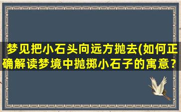 梦见把小石头向远方抛去(如何正确解读梦境中抛掷小石子的寓意？)