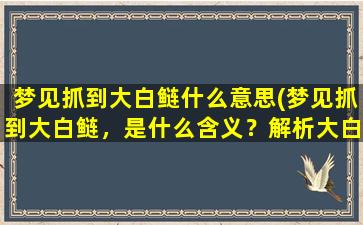 梦见抓到大白鲢什么意思(梦见抓到大白鲢，是什么含义？解析大白鲢梦境象征及预示)