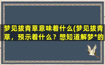 梦见拔青草意味着什么(梦见拔青草，预示着什么？想知道解梦*的解释)