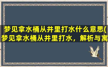 梦见拿水桶从井里打水什么意思(梦见拿水桶从井里打水，解析与寓意)