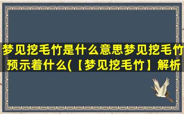 梦见挖毛竹是什么意思梦见挖毛竹预示着什么(【梦见挖毛竹】解析与预示，周公解梦)