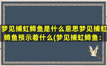 梦见捕虹鳟鱼是什么意思梦见捕虹鳟鱼预示着什么(梦见捕虹鳟鱼：预示幸福丰收的好兆头)