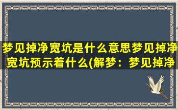 梦见掉净宽坑是什么意思梦见掉净宽坑预示着什么(解梦：梦见掉净宽坑，预示着什么？)