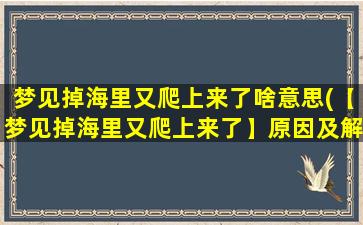 梦见掉海里又爬上来了啥意思(【梦见掉海里又爬上来了】原因及解析，预示着什么？)