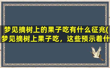 梦见摘树上的果子吃有什么征兆(梦见摘树上果子吃，这些预示着什么？)