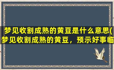 梦见收割成熟的黄豆是什么意思(梦见收割成熟的黄豆，预示好事临门！)