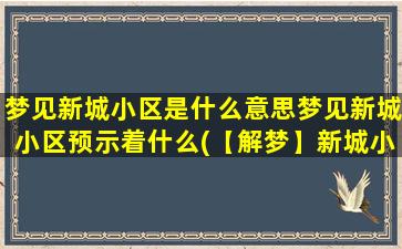 梦见新城小区是什么意思梦见新城小区预示着什么(【解梦】新城小区的含义与预示)