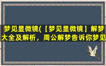 梦见显微镜(【梦见显微镜】解梦大全及解析，周公解梦告诉你梦见显微镜代表什么含义)