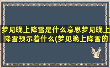 梦见晚上降雪是什么意思梦见晚上降雪预示着什么(梦见晚上降雪的含义与预示)