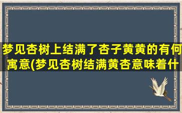 梦见杏树上结满了杏子黄黄的有何寓意(梦见杏树结满黄杏意味着什么？解梦专家来解析)