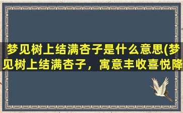 梦见树上结满杏子是什么意思(梦见树上结满杏子，寓意丰收喜悦降临！)