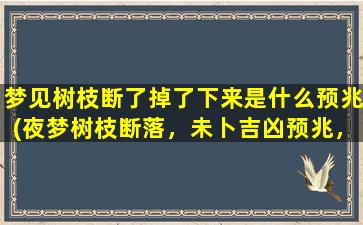 梦见树枝断了掉了下来是什么预兆(夜梦树枝断落，未卜吉凶预兆，解析未来背后的含义)