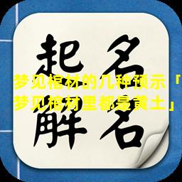 梦见棺材的几种预示「梦见棺材里都是黄土」