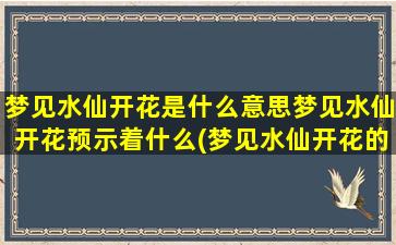 梦见水仙开花是什么意思梦见水仙开花预示着什么(梦见水仙开花的含义及预示，解梦大全)