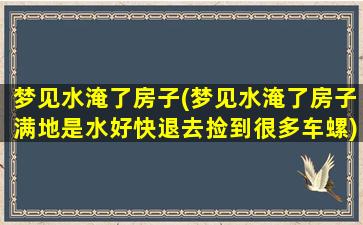 梦见水淹了房子(梦见水淹了房子满地是水好快退去捡到很多车螺)