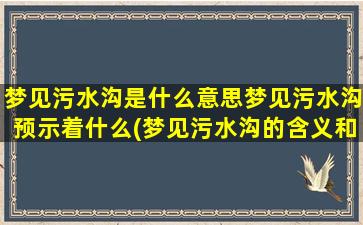 梦见污水沟是什么意思梦见污水沟预示着什么(梦见污水沟的含义和预示)