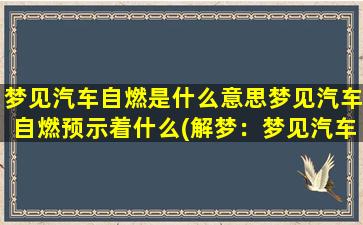 梦见汽车自燃是什么意思梦见汽车自燃预示着什么(解梦：梦见汽车自燃的寓意与预示)