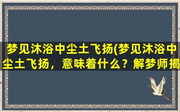 梦见沐浴中尘土飞扬(梦见沐浴中尘土飞扬，意味着什么？解梦师揭秘！)