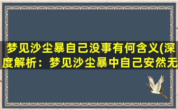 梦见沙尘暴自己没事有何含义(深度解析：梦见沙尘暴中自己安然无恙是什么意思)