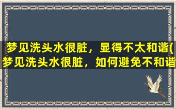 梦见洗头水很脏，显得不太和谐(梦见洗头水很脏，如何避免不和谐的情境？)