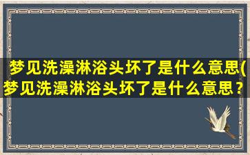 梦见洗澡淋浴头坏了是什么意思(梦见洗澡淋浴头坏了是什么意思？心理学解梦告诉你！)