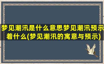 梦见潮汛是什么意思梦见潮汛预示着什么(梦见潮汛的寓意与预示)