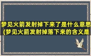 梦见火箭发射掉下来了是什么意思(梦见火箭发射掉落下来的含义是什么？)