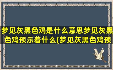 梦见灰黑色鸡是什么意思梦见灰黑色鸡预示着什么(梦见灰黑色鸡预示着什么？解梦大揭秘！)