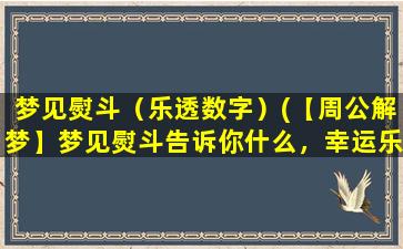 梦见熨斗（乐透数字）(【周公解梦】梦见熨斗告诉你什么，幸运乐透数字曝光！)