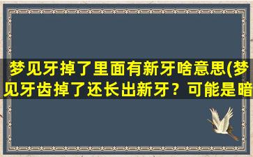 梦见牙掉了里面有新牙啥意思(梦见牙齿掉了还长出新牙？可能是暗示你的人际关系即将得到改善！)