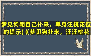 梦见狗朝自己扑来，单身汪桃花位的提示(《梦见狗扑来，汪汪桃花运即将到来，单身族福利来袭》)