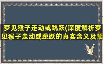 梦见猴子走动或跳跃(深度解析梦见猴子走动或跳跃的真实含义及预示，解密梦境中的暗示与预兆)