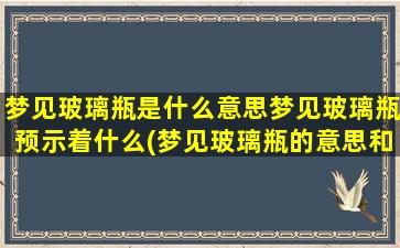 梦见玻璃瓶是什么意思梦见玻璃瓶预示着什么(梦见玻璃瓶的意思和预示，梦境解析及心理学分析)